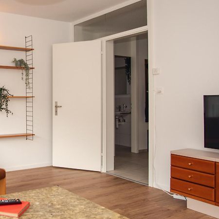 Spacious Apartment Next To Rhine Basel Ngoại thất bức ảnh